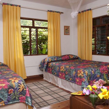 Forres Park Hotel 金斯敦 外观 照片