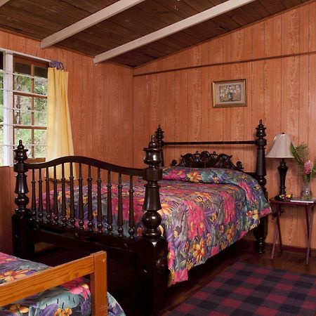 Forres Park Hotel 金斯敦 外观 照片
