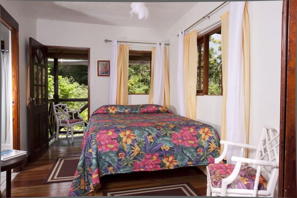 Forres Park Hotel 金斯敦 外观 照片