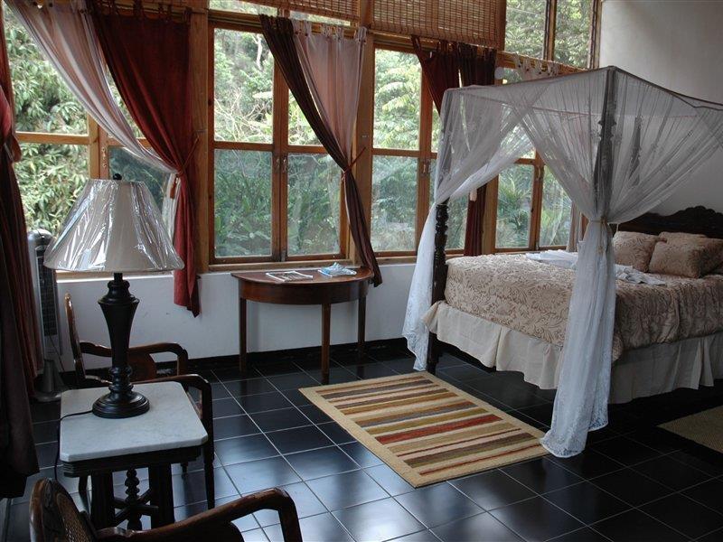 Forres Park Hotel 金斯敦 外观 照片